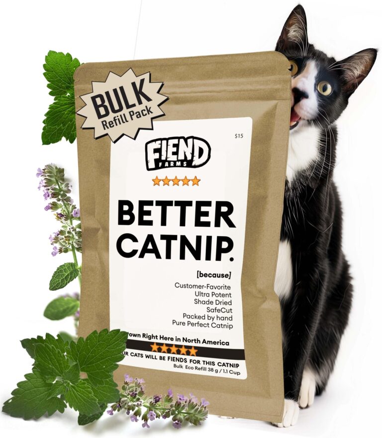 24. The Truth About Catnip: Is It Safe?