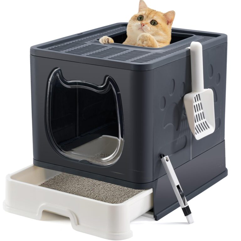 What to Do If Your Cat Refuses to Use the Litter Box
