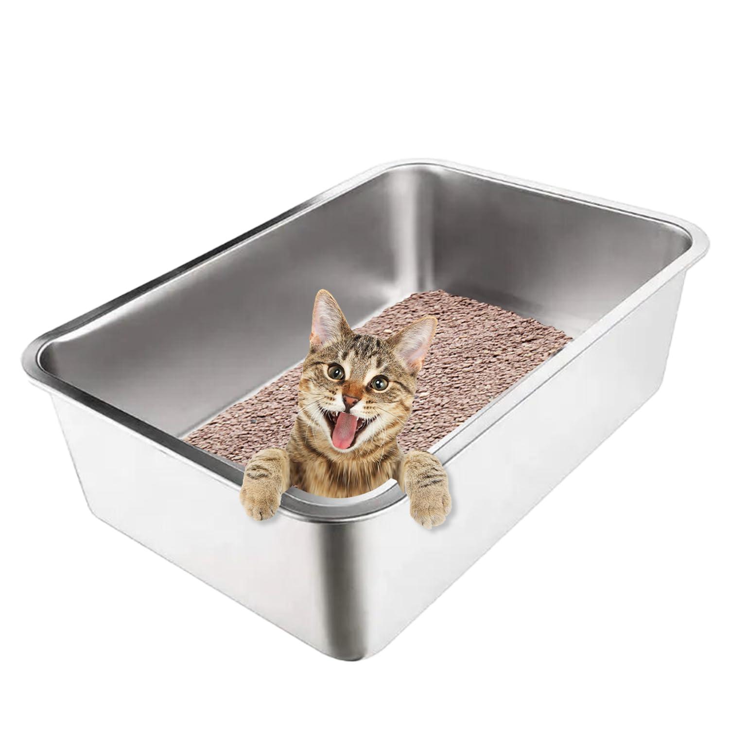 cat litter box