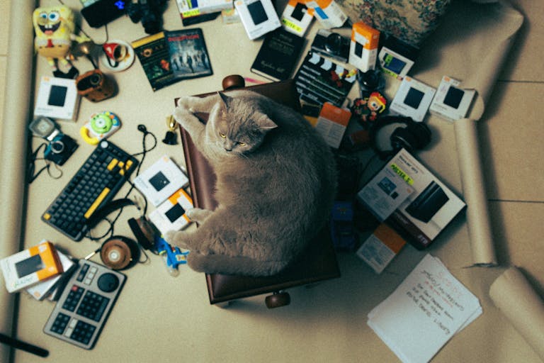 A cat lounges on a cluttered desk filled with creative tools and gadgets, Tel Aviv, Israel.