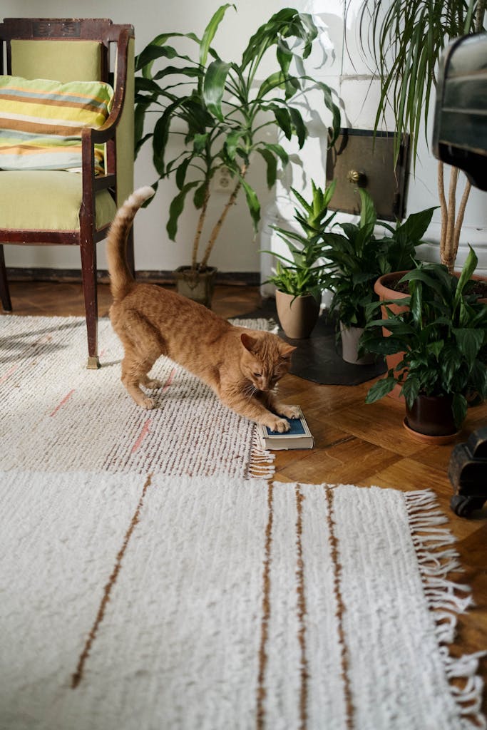 A ginger cat stretches by a plant in a cozy room, showcasing home comfort and interior design.